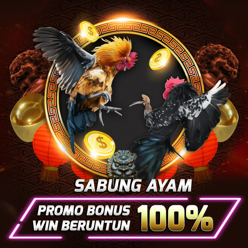 sabung ayam